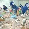 Strong growth recorded in tra fish exports to ASEAN markets