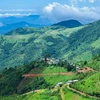 Myanmar seizes 1.35 tonnes of caffeine in drug bust