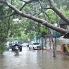 Fewer storms to hit Vietnam this year