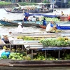 Mekong Delta needs further coordination to boost tourism