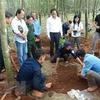 Remains of 50 more Vietnamese martyrs unearthed in Cambodia