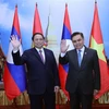 Top priority given to consolidating and strengthening Vietnam-Laos ties: Leaders