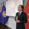 Overseas Vietnamese gather in Tet celebrations