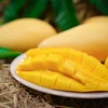 Thailand: Nam Dok Mai Si Thong mangoes registered as GI product