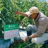 VinaCapital Ventures pours 1 million USD into agritech startup