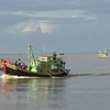 Binh Thuan province works to halt illegal fishing