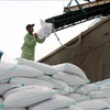 Vietnam’s rice exports predicted to drop in 2023