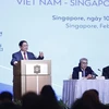 Prime Minister attends Vietnam – Singapore business forum