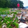 Indonesia, Germany jointly tackle marine litter
