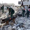 More earthquake victims found by Vietnamese rescue teams in Turkey