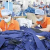 Apparel sector races to boost exports