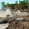 Salt water intrusion to Mekong estuaries forecast to increase in March