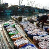 Indonesia suggested to adopt fisheries models from neighbouring countries
