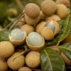 Vietnamese longan sold well in Japan despite high prices