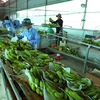 Vietnamese agricultural products enjoy bustling export to China