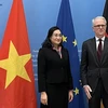 Vietnam, Germany joint committee discusses economic cooperation