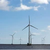 EU manufacturers eye offshore wind turbine plants in Vietnam 