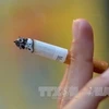 Ministry proposes a hike in special consumption tax on cigarettes, beer, spirits