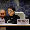 Indonesia proposes focuses of cooperation for human rights