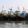 Nghe An intensifies supervision over anti-IUU fishing measure implementation