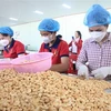 Binh Phuoc enjoys trade surplus of 220 mln USD in first two months