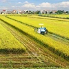 Public private partnership task force on rice established