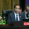 Indonesia pushes coal-to-DME downstreaming investment