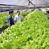 HCM City continues to make hi-tech, clean agriculture a priority