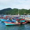 Phu Quoc ramps up efforts against IUU fishing