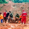 Death toll from Indonesia's landslides rises to 44