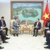 Deputy PM asks for good organisation of celebrations for Vietnam-Australia diplomatic ties 