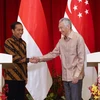 Indonesia calls for Singapore’s investment in new capital
