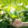 2023 Vietnam Business Forum focuses on green growth