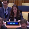 Vietnam calls for efforts to protect water infrastructure for civilians amid armed conflicts
