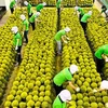 Vietnam works hard to boost exports to Chinese market