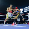 Boxer Nguyen Ngoc Hai wins WBA belt 