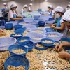 Cashew firms enhance processing to add value to products