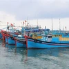 South-central coastal provinces work hard to combat illegal fishing