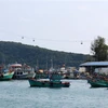 Kien Giang province strictly handles violations of fishing regulations