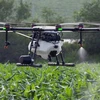 Hanoi boosts use of drones in agriculture production 