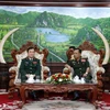 Vietnam, Laos foster defence cooperation