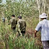 An Giang province forests face extreme fire risk