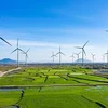 Vietnam’s green economy expected to reach 300 billion USD by 2050