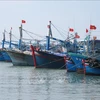 Quang Tri inspects high-risk vessels to fight illegal fishing