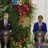 Indonesia calls for Czech investment in new capital 