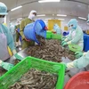 Global shrimp demand expected to rebound from Q2