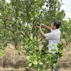 Dong Nai province’s farmers expand eco-tourism services