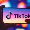 Vietnam to probe TikTok comprehensively over ‘toxic’ contents from May 15