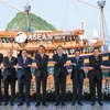 Vietnam actively contributes to strengthening ASEAN solidarity: Indonesian scholar