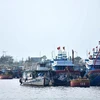 Da Nang, Quang Binh strengthen measures against IUU fishing